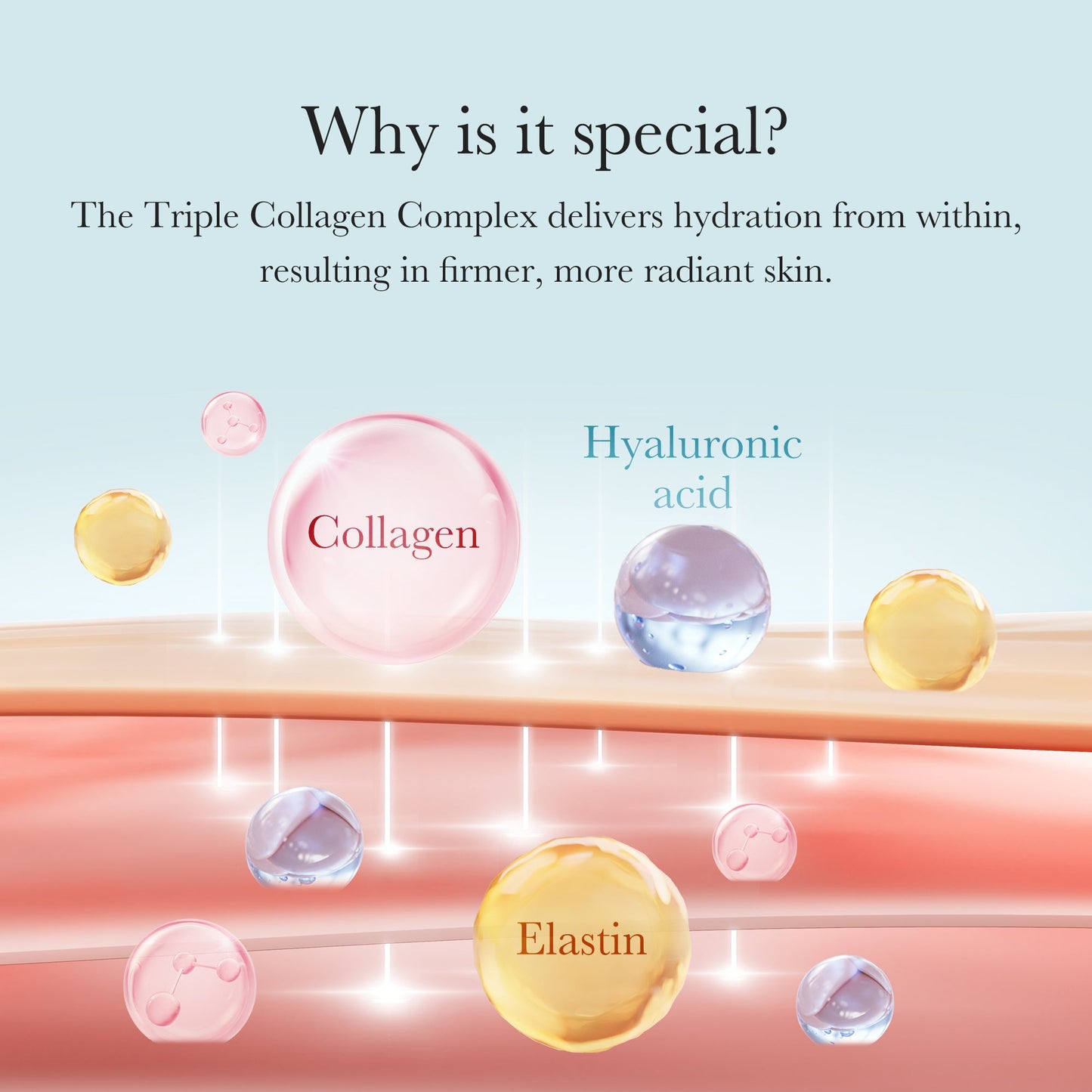 triple-collagen-cream-x7 04_8e4e330d-7d9c-4ff0-93ec-ea541093220c.jpg
