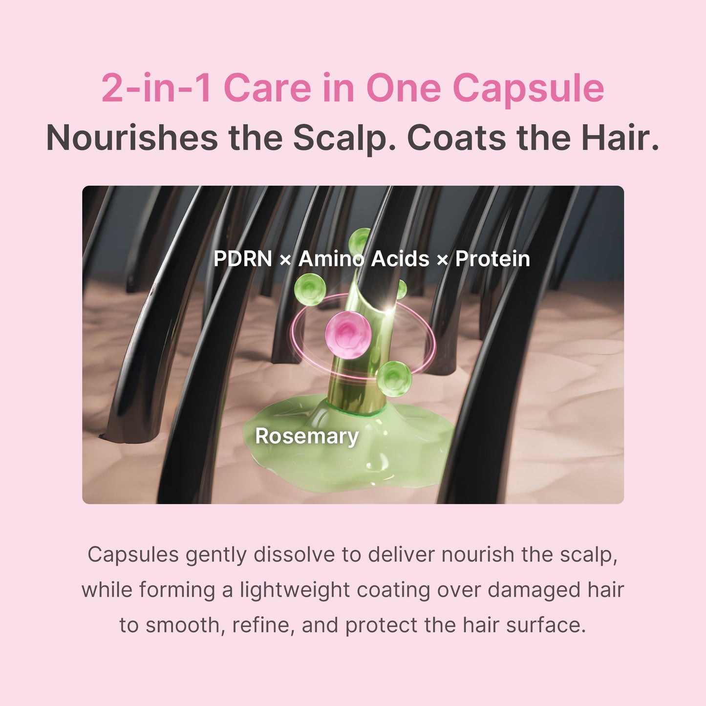 rosemary-pdrn-hair-and-scalp-conditioner-d7 US_ME_RosemaryConditioner_th05.jpg